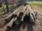 PIPE RACK & BRIDGE TIMBERS