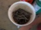 BUCKETS OF HEAVY NAILS