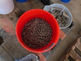 BUCKET OF BOLTS & BUCKET OF NAILS