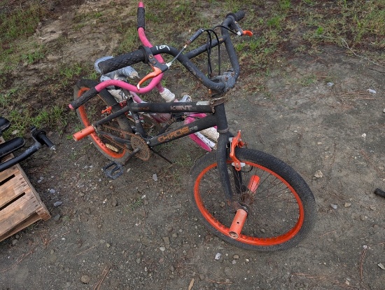 2 BICYCLES