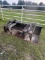 HEAVY DUTY GRAPPLE BUCKET