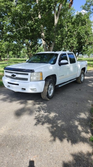 2010 CHEVY SILVERADO 1500 TRUCK