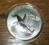 2014 Canada Bald Eagle Reverse Proof $5 Coin 1 Troy Oz. .999 Fine Silver