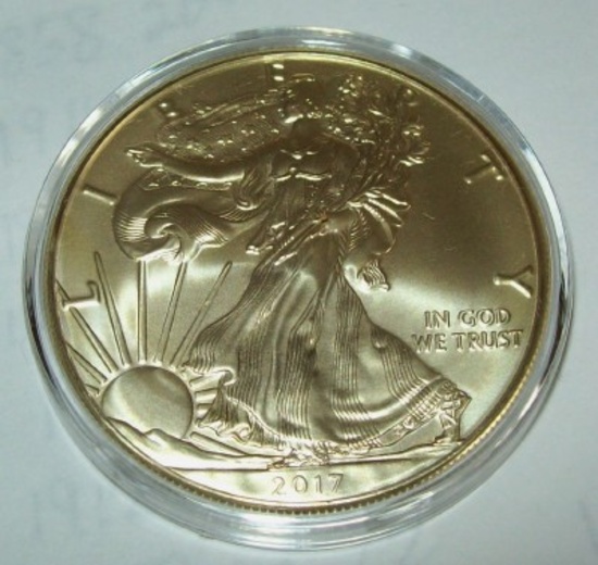 2017 American Silver Eagle 1 troy oz. .999 Fine Silver Dollar Coin Gold Gilded
