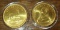 2018 South Africa Krugerrand Gold Gilded Silver Rand Coin 1 troy oz. .999 Fine Silver