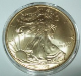 2008 American Silver Eagle 1 troy oz. .999 Fine Silver Dollar Coin Gold Gilded