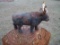 Vintage Cast Iron Steer Cow Coin Money Bank