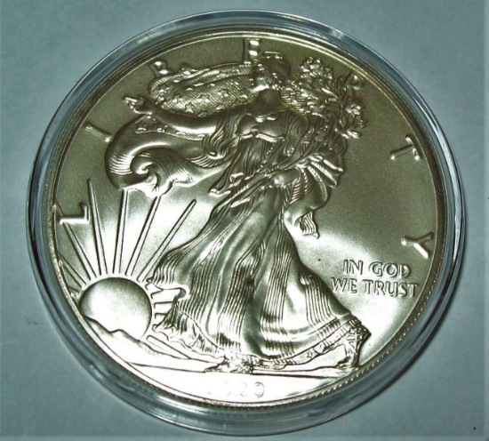 2020 American Silver Eagle 1 Troy Oz. .999 Fine Silver Dollar 24K Gold Gilded