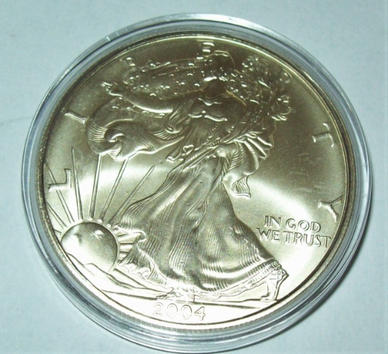 2004 American Silver Eagle 1 Troy Oz. .999 Fine Silver Dollar  24K Gold Gilded