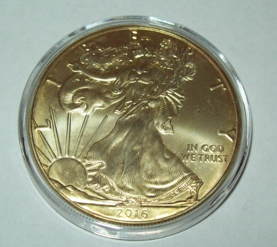 2016 American Silver Eagle 1 Troy Oz. .999 Fine Silver Dollar 24K Gold Gilded