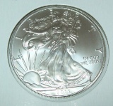 2013 American Silver Eagle 1 troy oz. .999 Fine Silver Dollar Coin