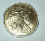 2015 American Silver Eagle 1 troy oz. .999 Fine Silver Dollar Coin Gold Gilded