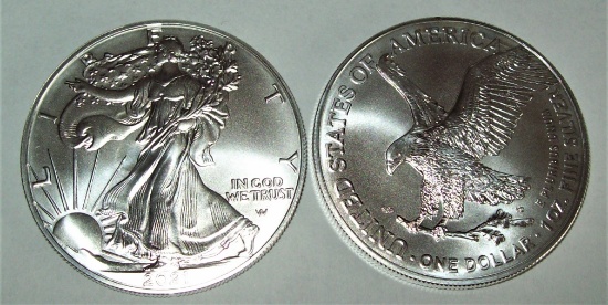 Large Coin & Silver Bullion Auction