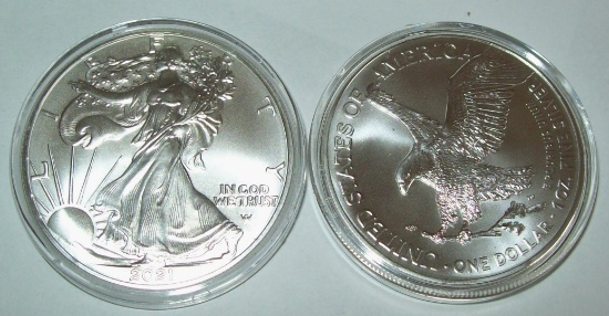 2021 Type 2 American Silver Eagle Dollar Coin 1 Troy Oz. .999 Fine Silver $1 Coin in Capsule