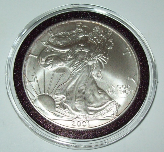 2001 American Silver Eagle Dollar Coin 1 Troy Oz. .999 Fine Silver $1 Coin in Capsule