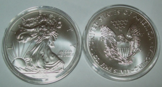 2014 American Silver Eagle Dollar Coin 1 Troy Oz. .999 Fine Silver $1 Coin in Capsule