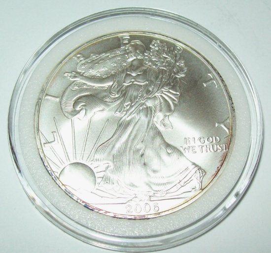 2006 American Silver Eagle Dollar Coin 1 Troy Oz. .999 Fine Silver $1 Coin in Capsule