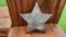 Metal 6 Point Star Arizona Rangers Badge