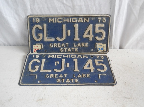 Set of Vintage License Plates
