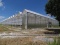 ROUGH BROTHERS CONNECT GREENHOUSE 100' X 480' W/15 IRRIGATION BOOMS