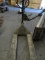 Pallet JAck