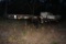 1992 TRAILMOBILE VIN: 1PTF73TR5N9001116  Vin # 1PTF73TR5N9001116