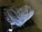 Blue Tarp