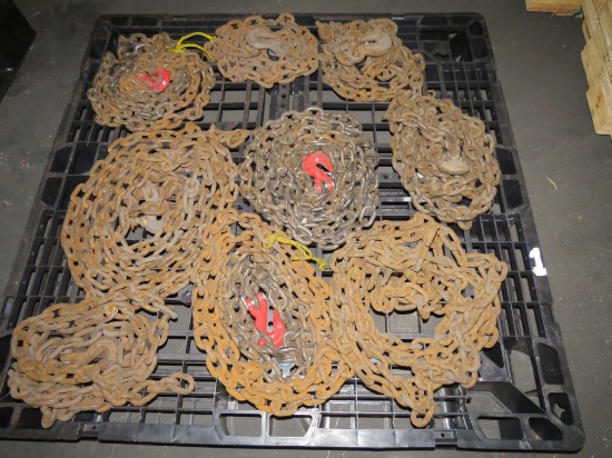 Lot of 9 Chains