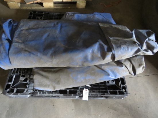 Blue Tarp