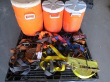 Lot of Collars,Harnesses & Straps