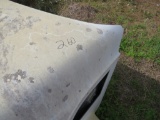 Mack Granite Hood