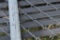 Chain Link Gates