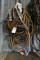Lot of Extension Cords