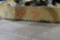 Mix Lot Steel Brushes