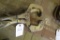 Vice Grip Clamps