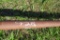 Hand Rails