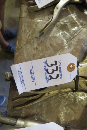 Vice Grip Clamps
