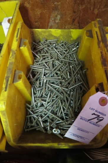 Bucket of Phil Head Screws