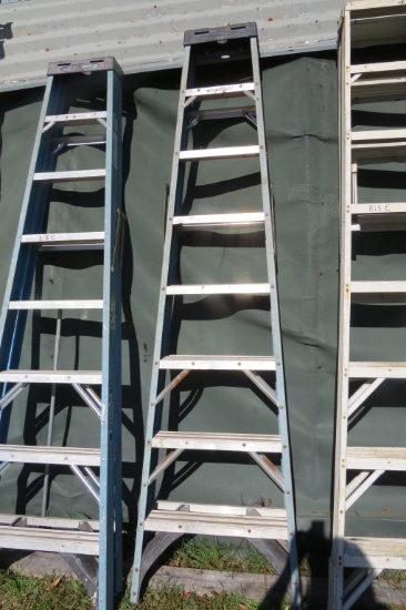 8' Ladder
