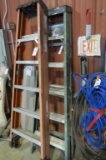 Werner Ladder 6' Fiberglass
