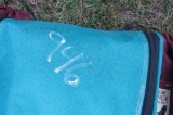 Camping Cot & 2 Folding Lounge Chairs