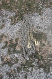 Chain
