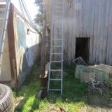 20'  Ladder