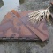 Steel Plate
