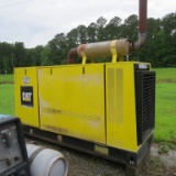 Cat Generator