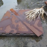 Steel Plate