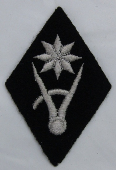 Rare Specialist Badge For Assignment To The SS Economic & Admin. Central Office