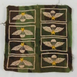 Vietnam War Era In-Country Embroidered ARVN Jump Wings