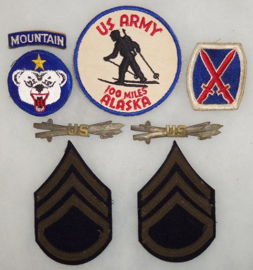 8 pcs. US Mountain Troops/Rank Insignia