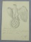 Pencil Drawing/Quick Sketch Of Eagle Holding Swastika W/Inscription-Signed A. Hitler-Dated 1940